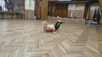 ZS_letni a zimni sporty