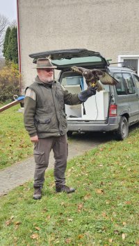 ZŠ+MŠ_Ukázka dravců