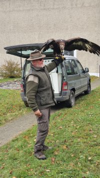 ZŠ+MŠ_Ukázka dravců