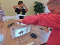 ZŠ_Výtvarný kroužek