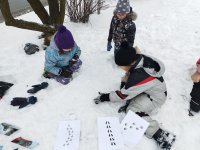 ZŠ_pracovní činnosti_leden