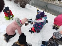 ZŠ_pracovní činnosti_leden