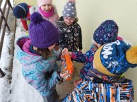 ZŠ_pracovní činnosti_leden