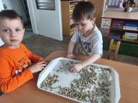 MŠ_Pohádkový karneval