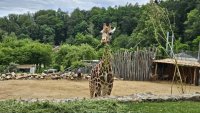 ZŠ+MŠ_ZOO Jihlava